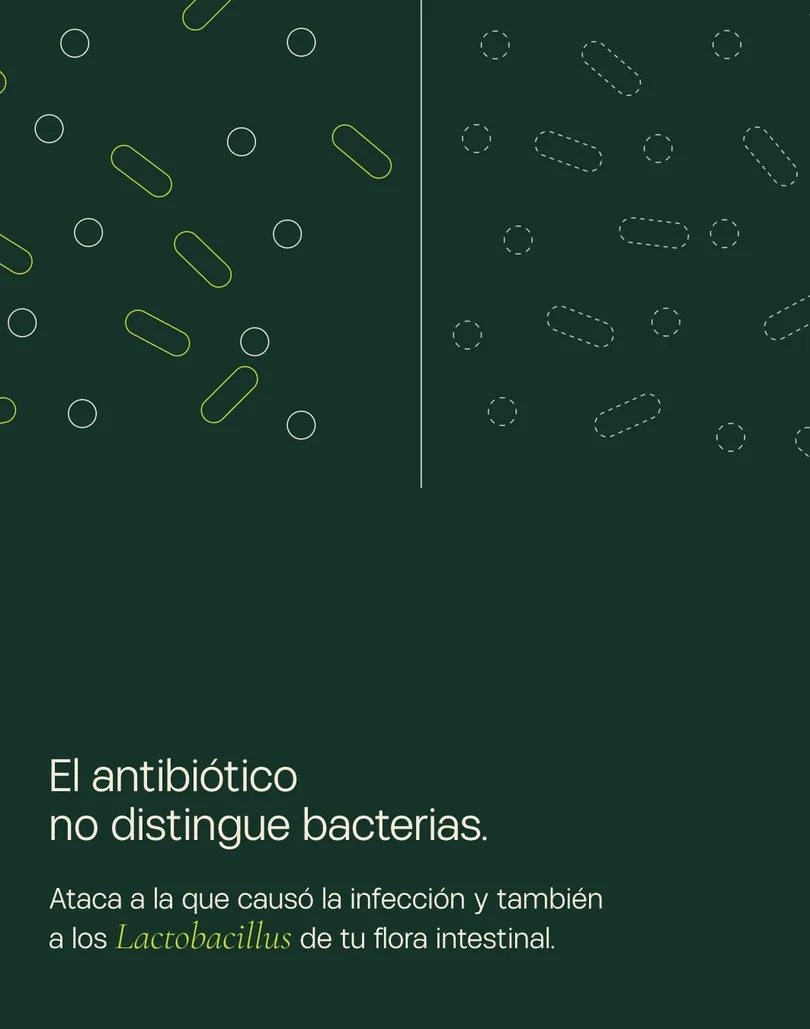 Portada verde oscuro con bacterias en ilustración de línea, enteras a la izquierda y punteadas a la derecha, y el texto «El antibiótico no distingue bacterias».