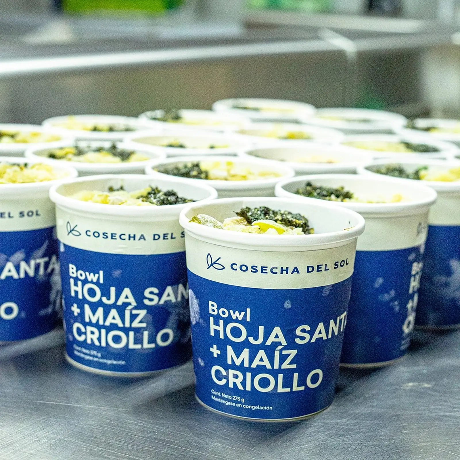 Empaques azules del bowl Hoja Santa + Maíz Criollo, en hileras sobre una mesa de acero.