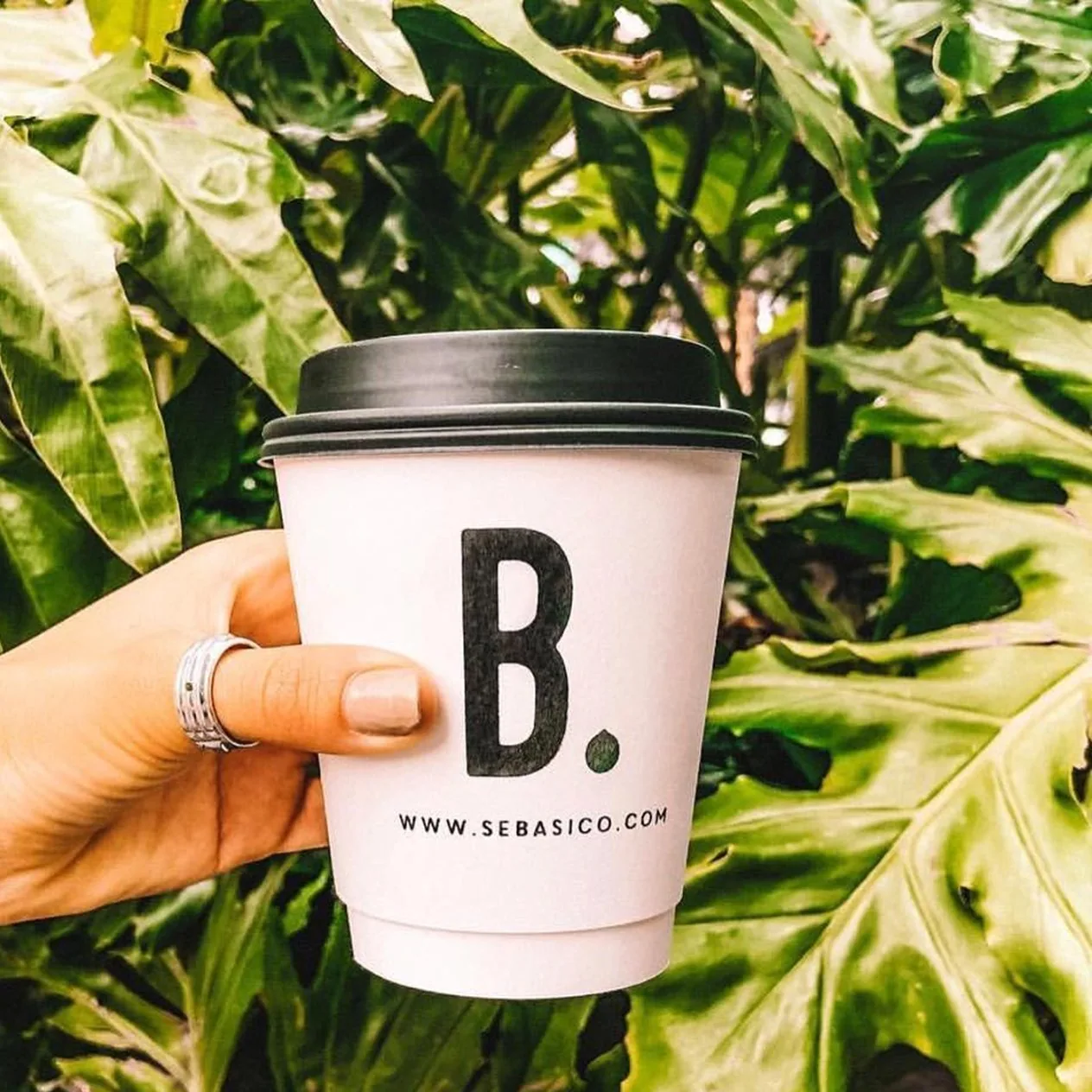 Mano que sostiene un vaso blanco de café para llevar con la B. negra y sebasico.com, entre hojas grandes.