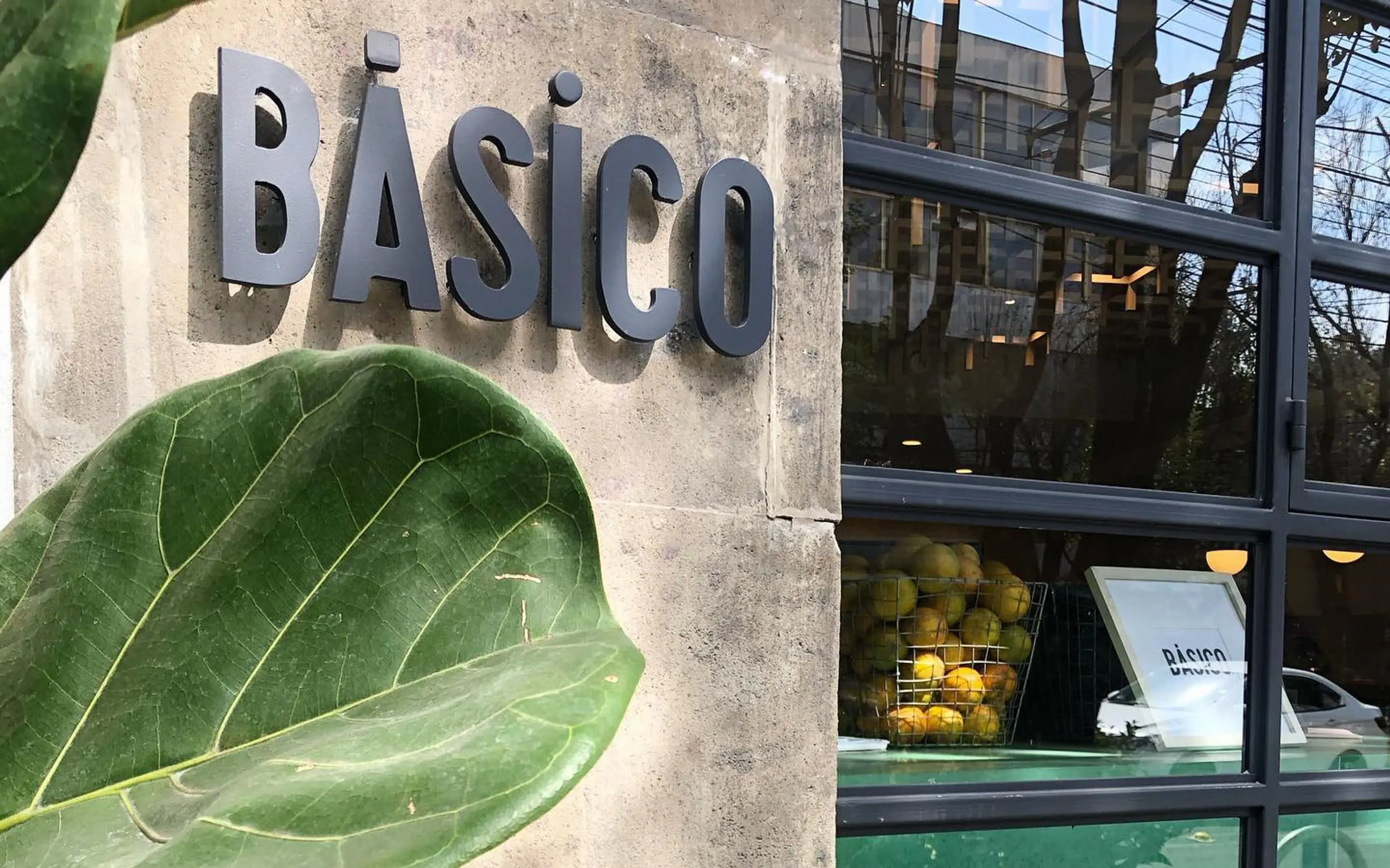 El logotipo de Básico en el letrero: la palabra BÁSICO en letras de bulto.